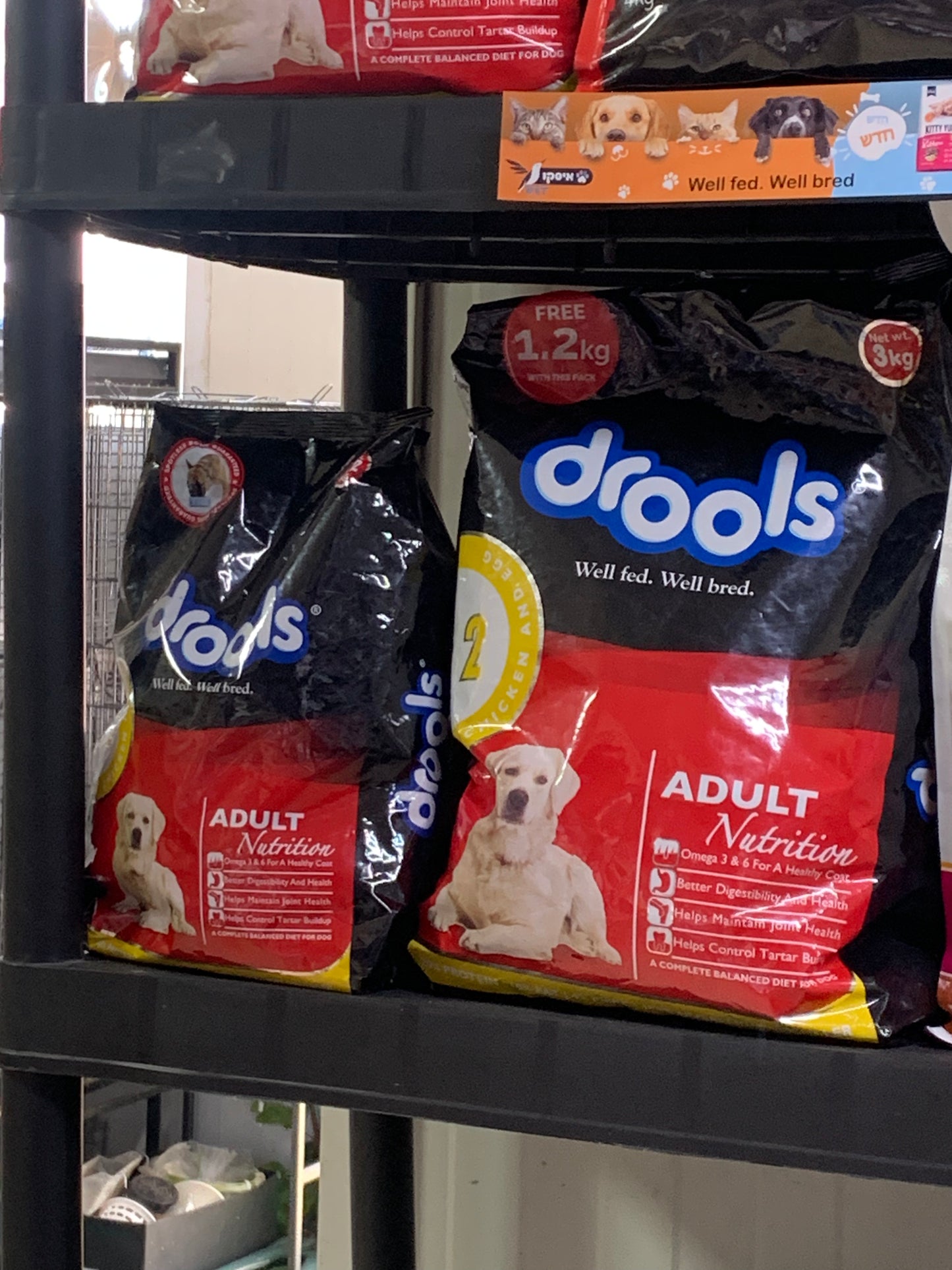 Drools בטעם עוף 3קילו + 1.2קילו מתנה
