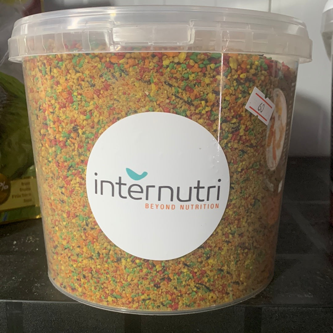 Internutri מזון לציפורים