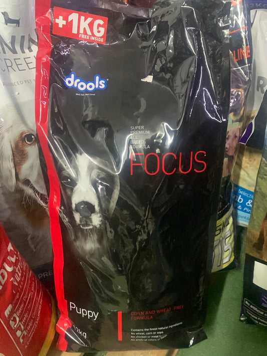 Drools Focus 13ק״ג